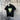 Shirt - CASABLANCA