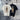Shirt - CASABLANCA