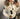 Blauer Donna - Bianco con pelliccia